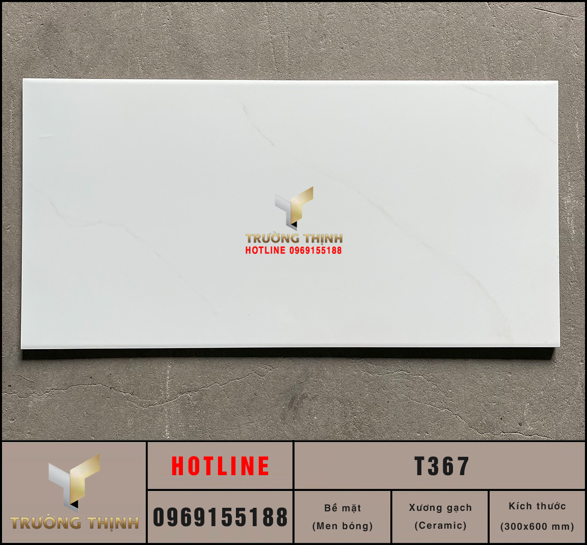 Gạch ốp tường trắng vân mây 300x600 Viglacera T367: Mua chính hãng, giá tốt tại Trường Thịnh