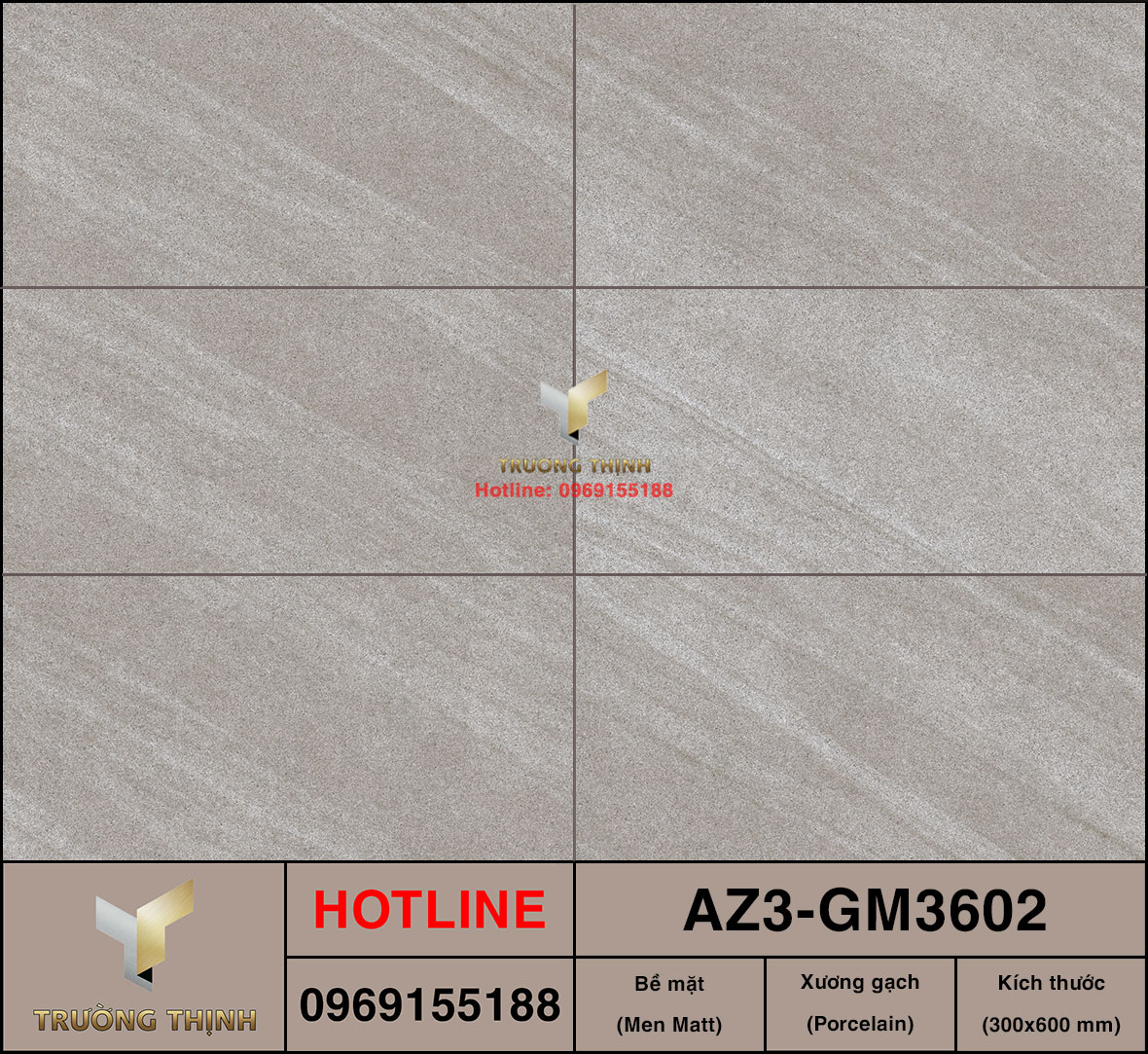 Gạch ốp lát 300x600 Viglacera United Arizona AZ3-GM3602