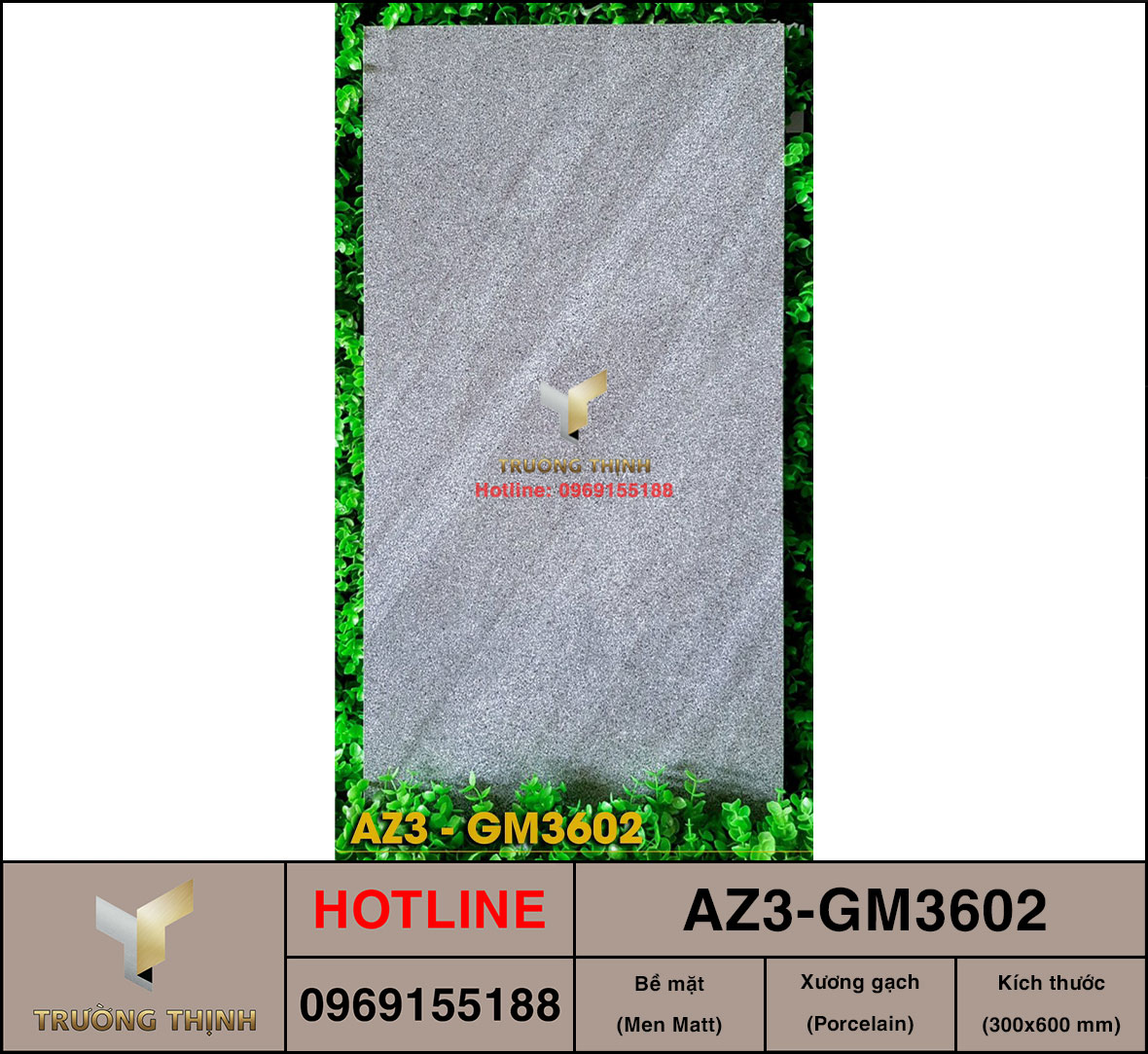 Gạch ốp lát 300x600 Viglacera United Arizona AZ3-GM3602