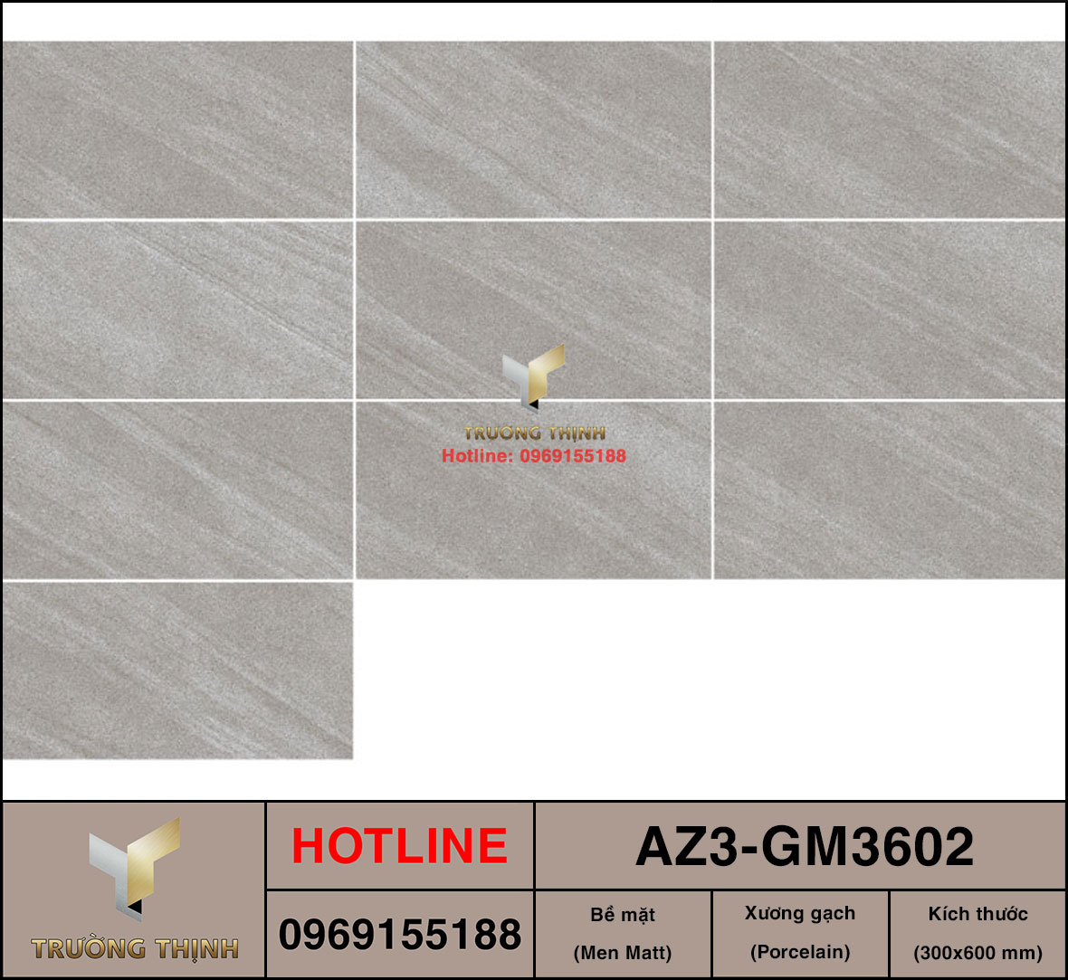 Gạch ốp lát 300x600 Viglacera United Arizona AZ3-GM3602