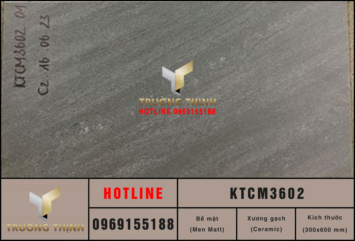 KTCM3602