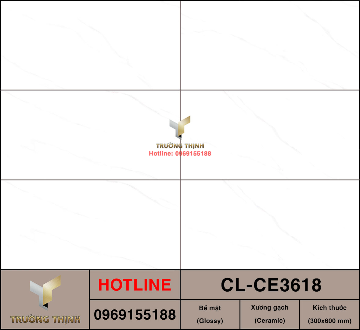 Gạch 300x600 Viglacera Cửu Long CL-CE3618