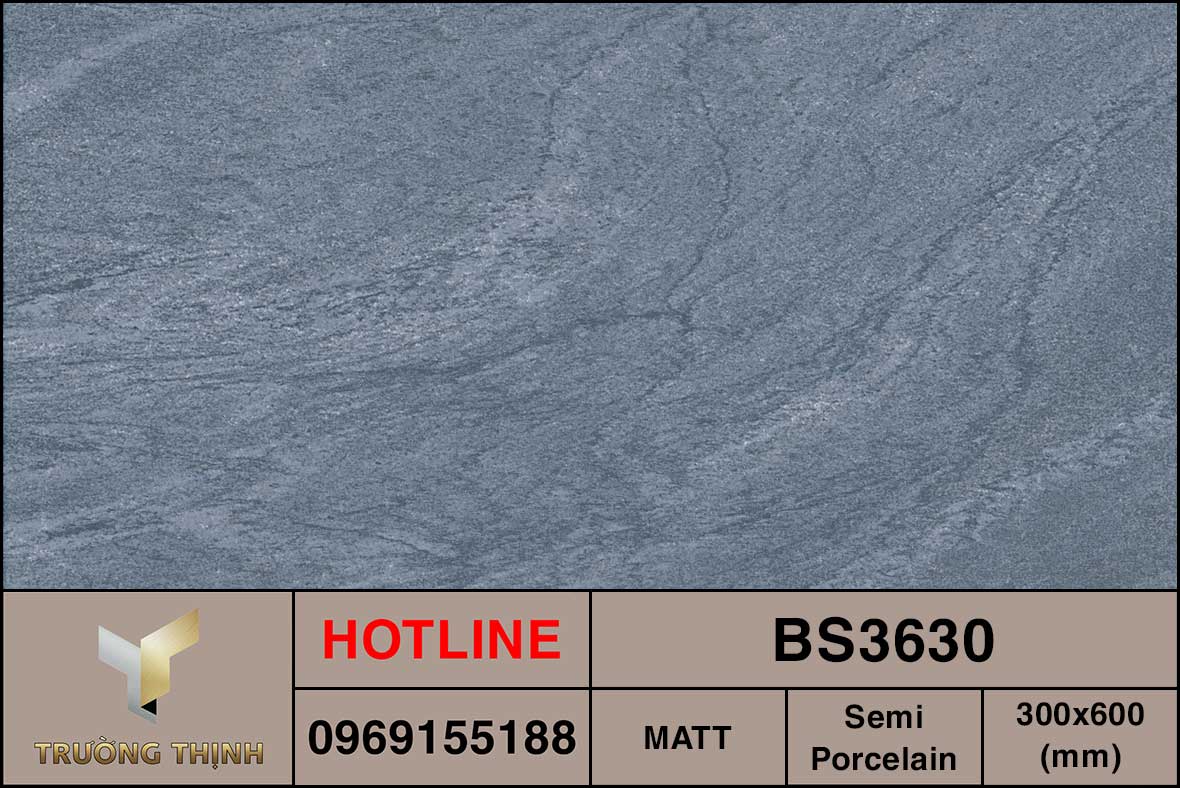 Ảnh MAP gạch ốp lát 300x600 Viglacera BS3630