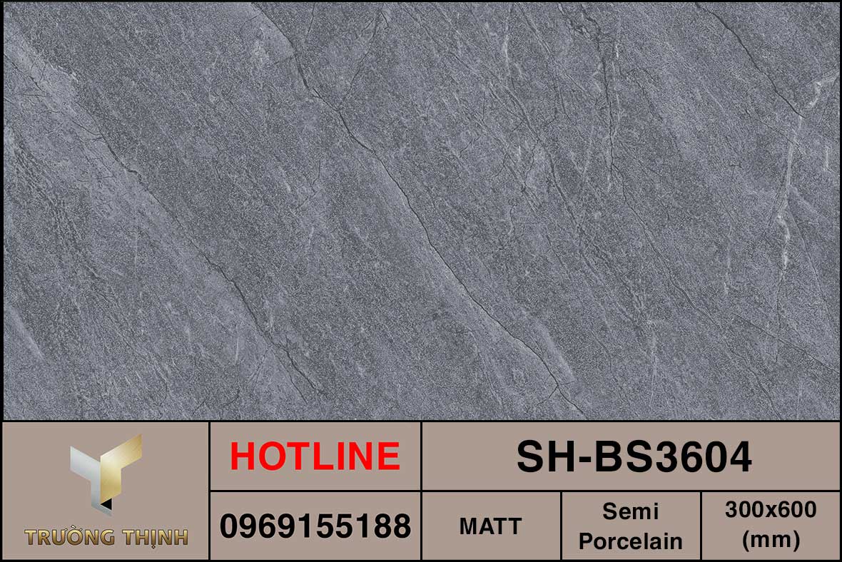 Ảnh MAP gạch lát ốp lát 300x600 Viglacera SH-BS3604