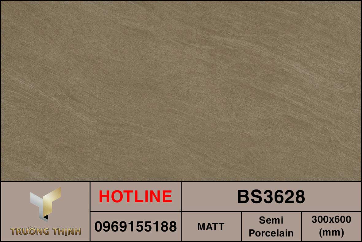 Ảnh thực tế gạch ốp lát 300x600 Viglacera BS3628
