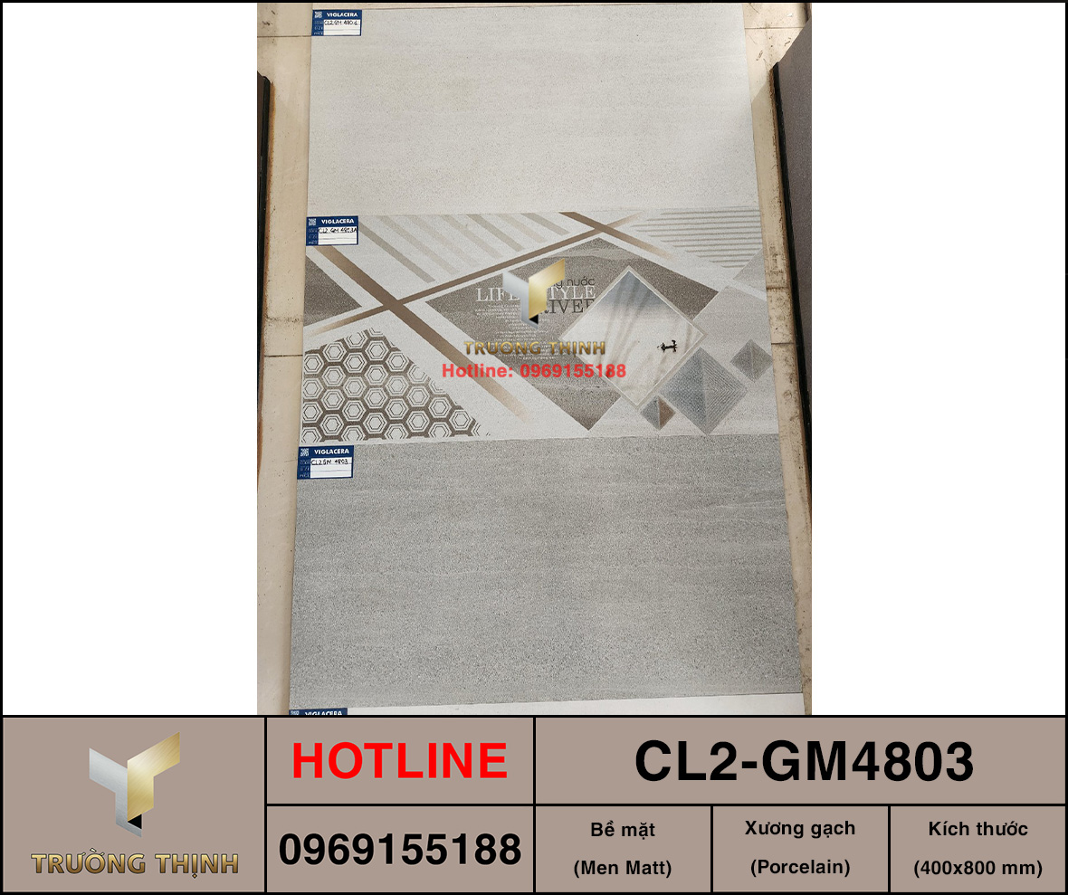 Gạch ốp lát 400x800 Viglacera Cửu Long CL2-GM4803