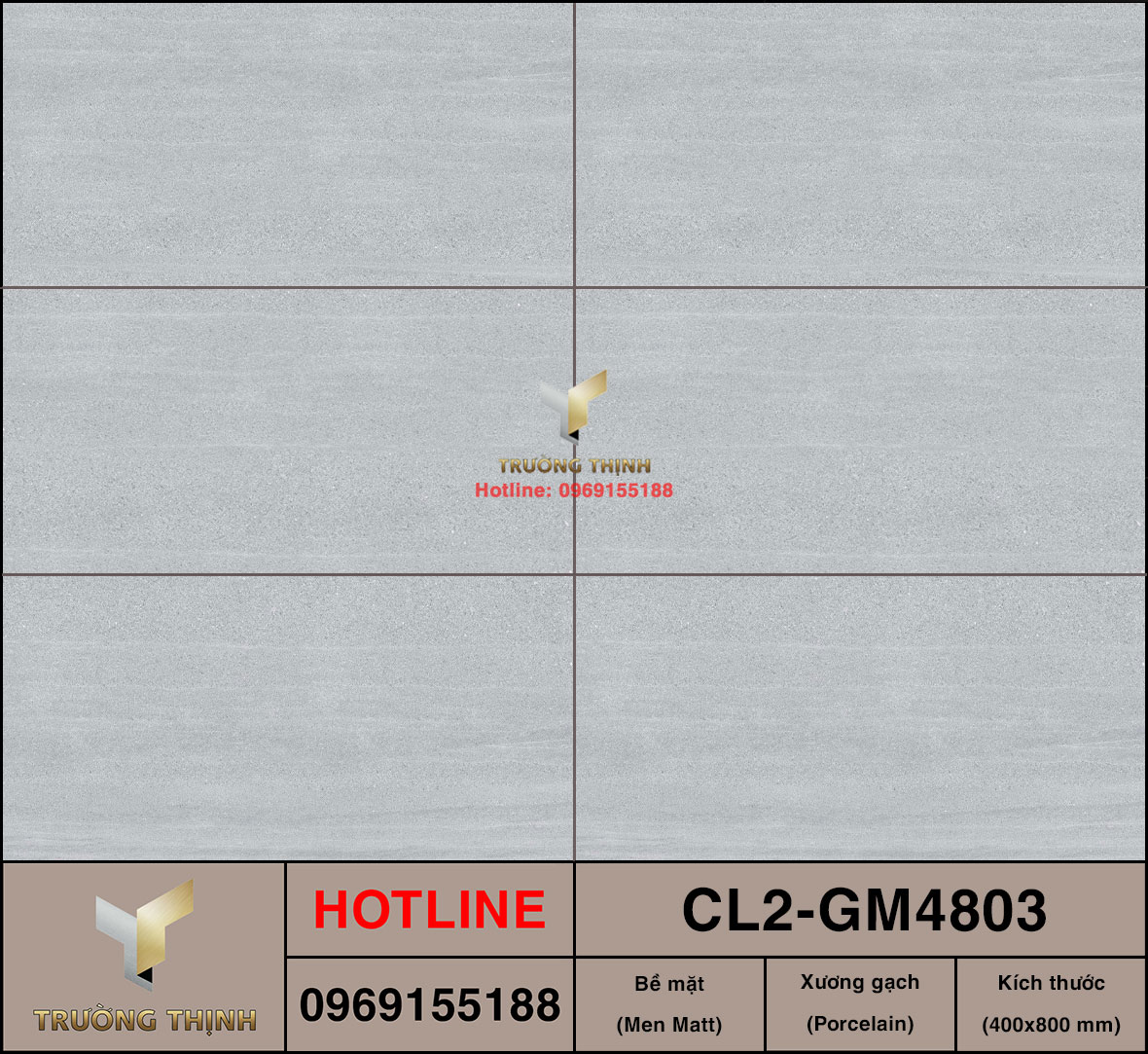Gạch 400x800 Viglacera Cửu Long CL2-GM4803