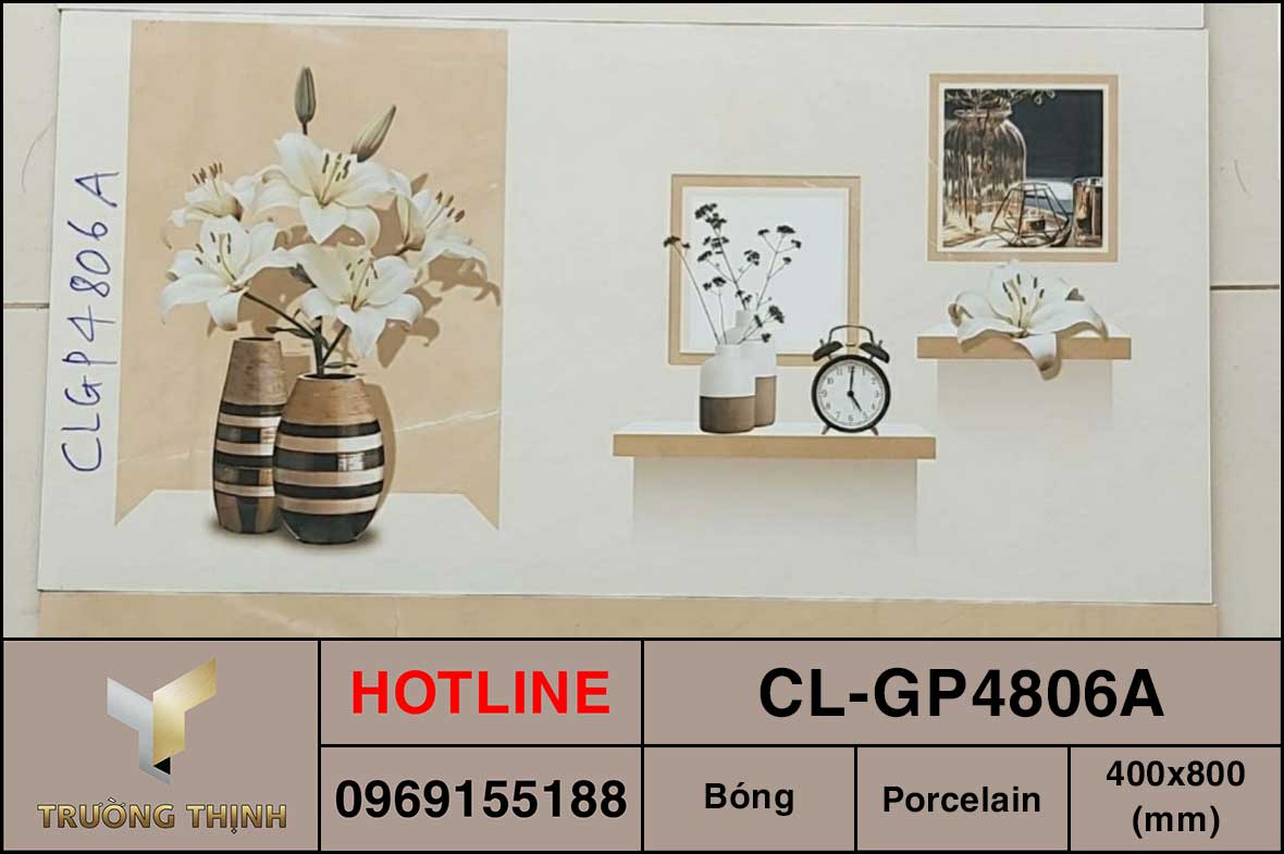 Gạch điểm 400x800 Viglacera Cửu Long CL-GP4806A cao cấp