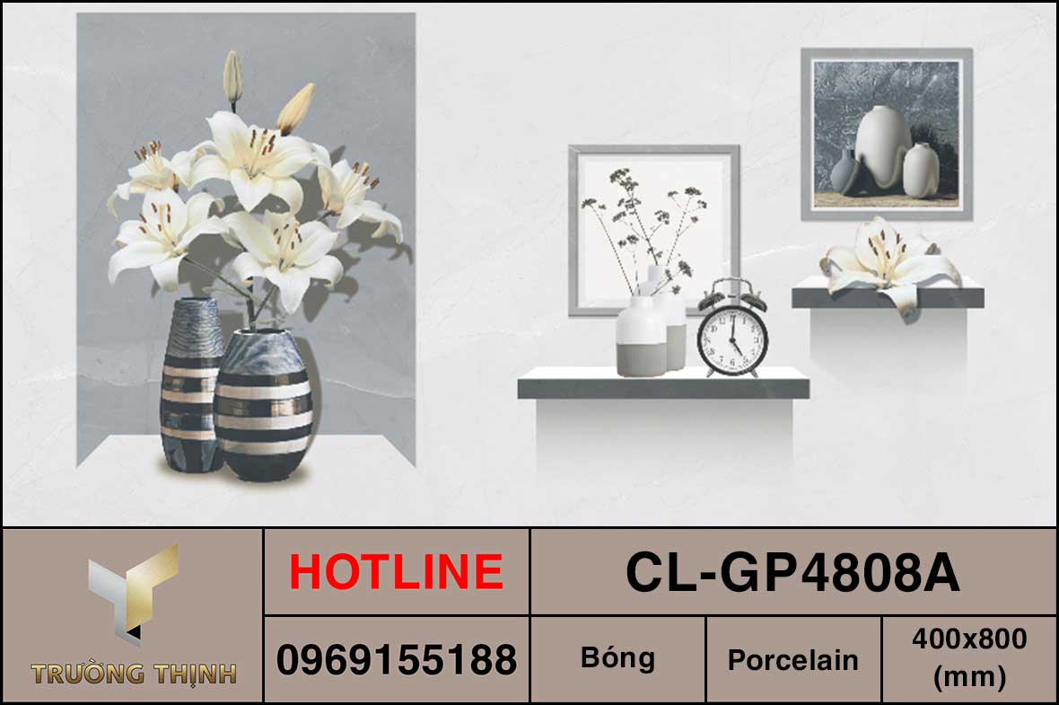 Gạch điểm 400x800 Viglacera Cửu Long CL-GP4808A cao cấp