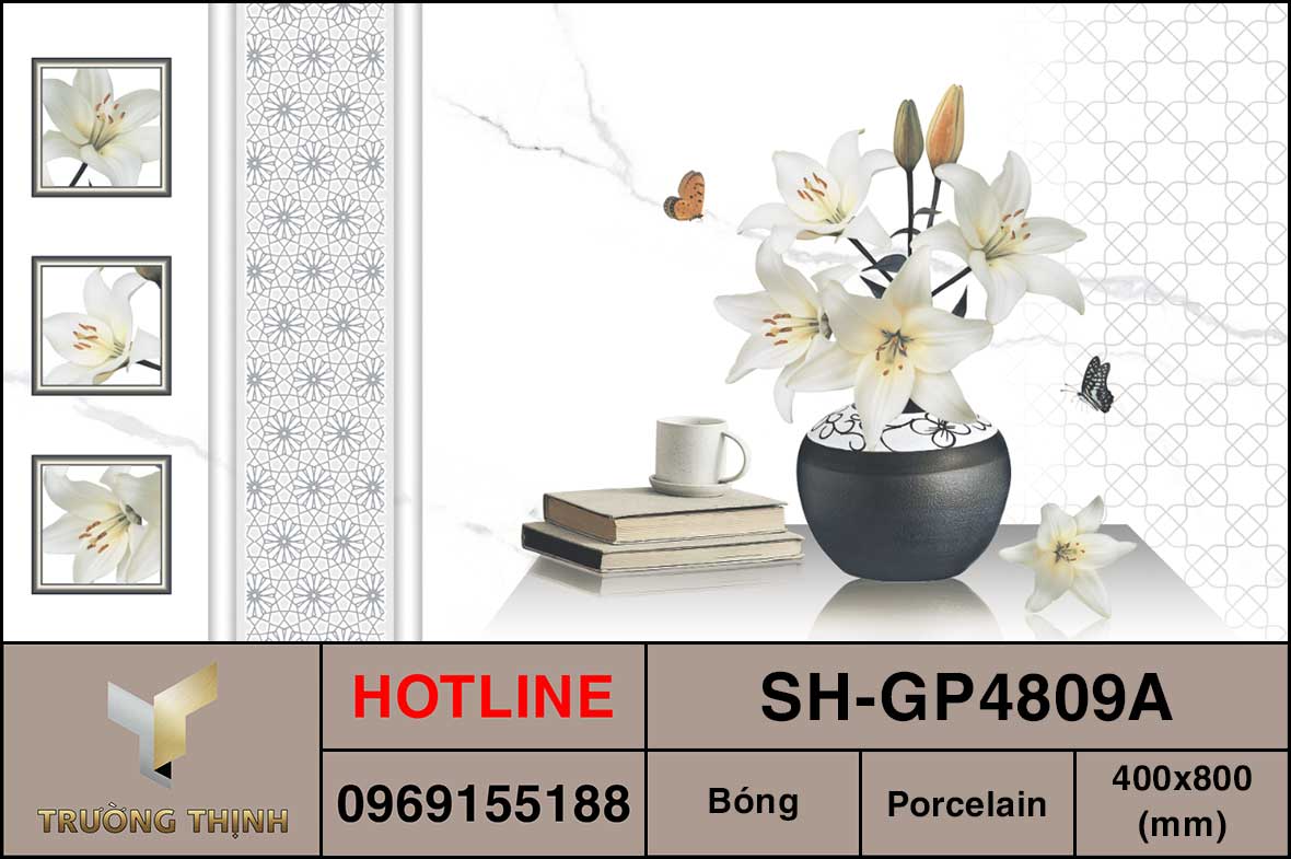 Gạch điểm 400x800 Viglacera Sông Hồng SH-GP4809A giá rẻ