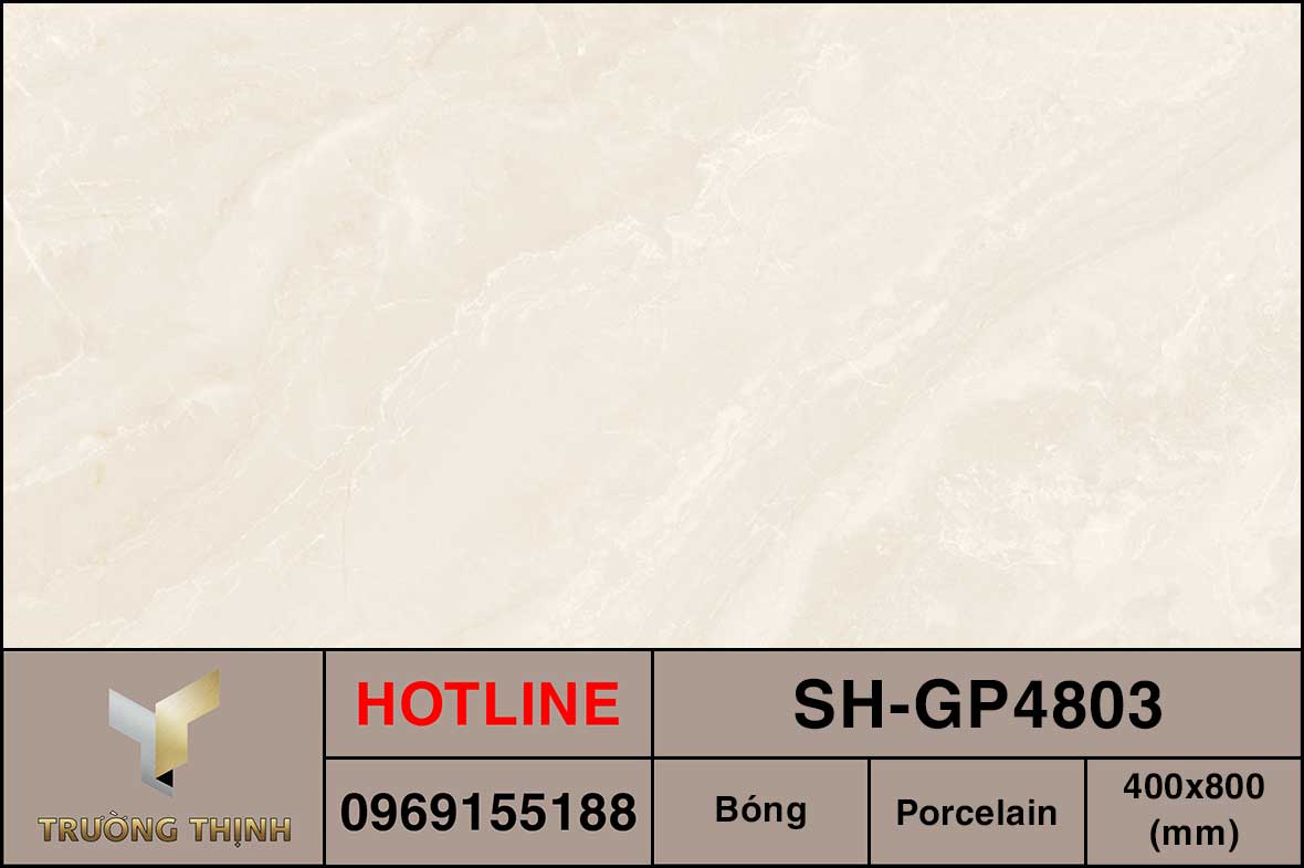 Gạch granite 400x800 Viglacera Sông Hồng SH-GP4803 giá rẻ