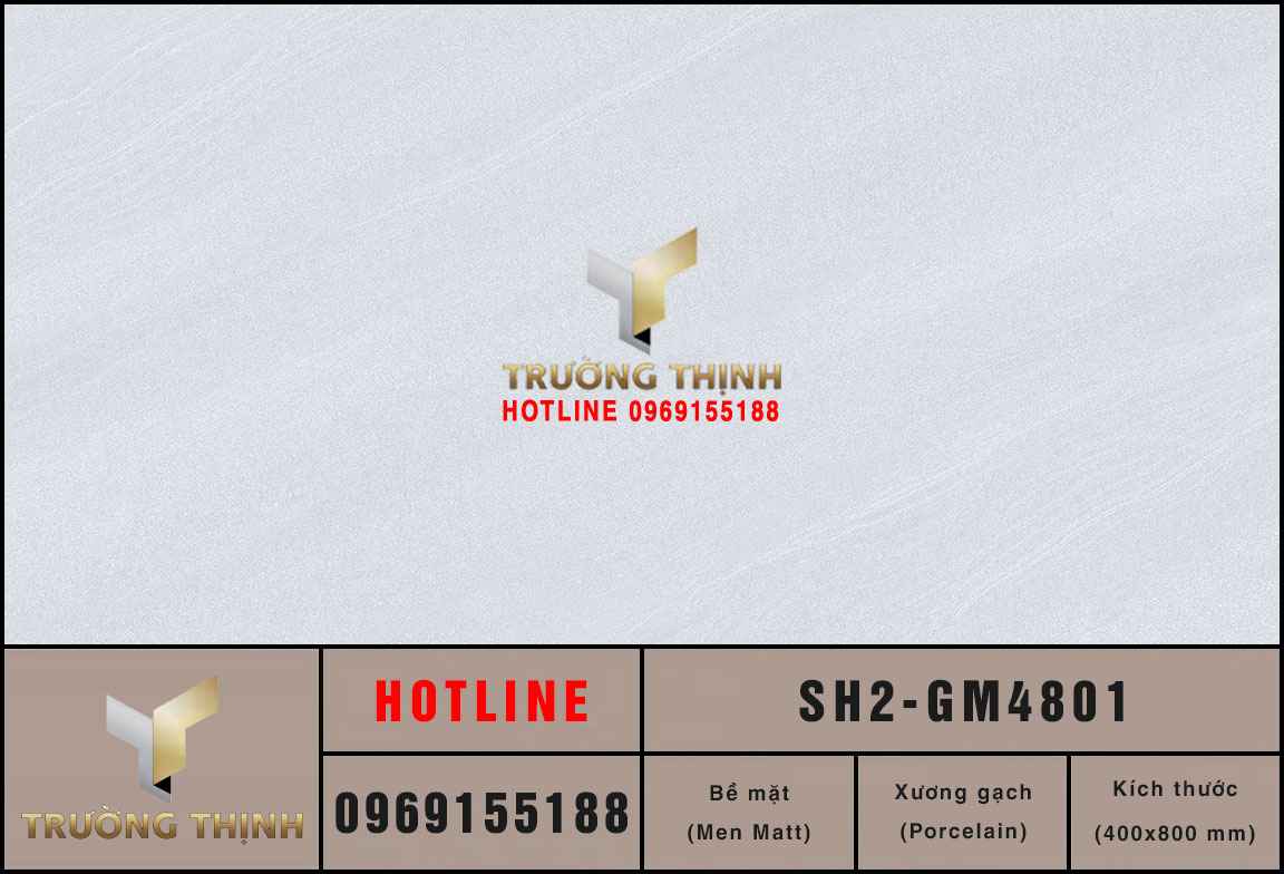 Ảnh mẫu gạch ốp tường 400x800 Viglacera Sông Hồng SH2-GM4801