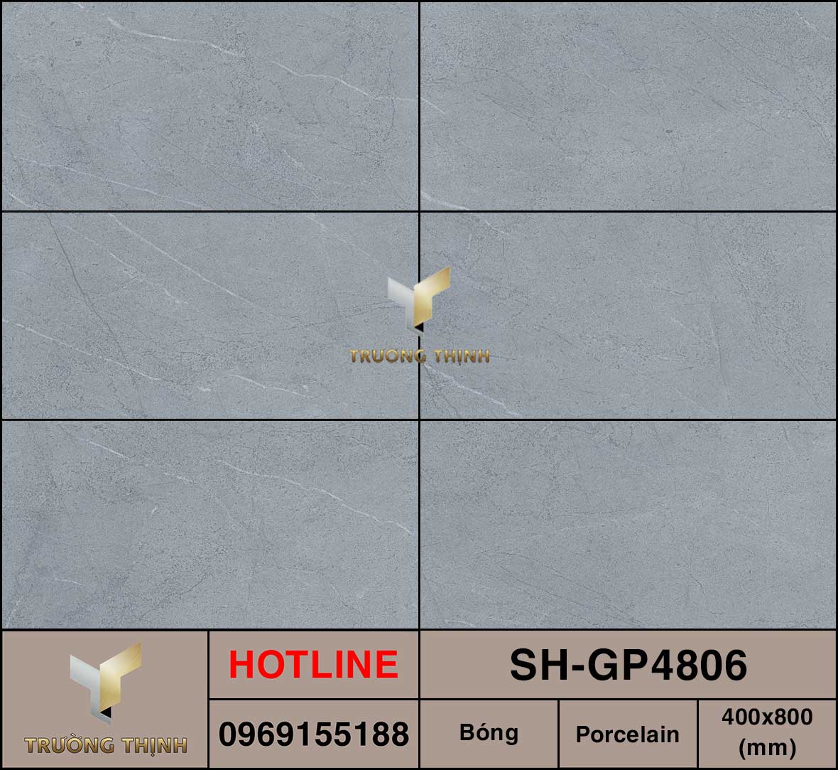 Ảnh MAP Gạch ốp tường 400x800 Viglacera Sông Hồng SH-GP4806