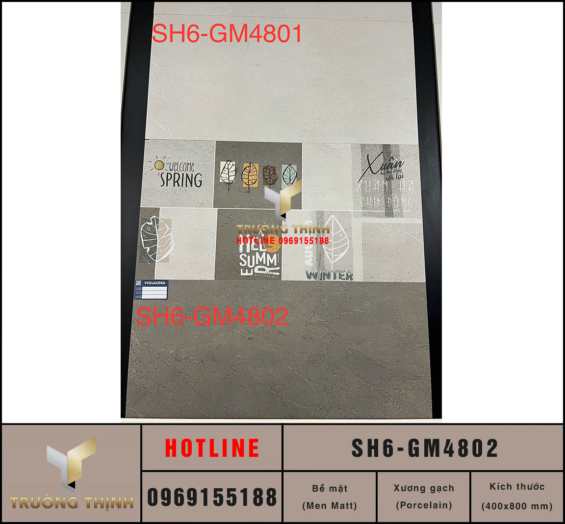 Gạch ốp lát men khô 400x800 Viglacera SH6-GM4802 vân đá