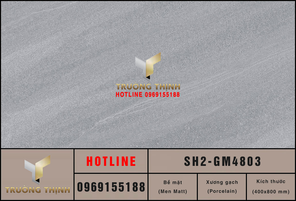 Ảnh mẫu gạch ốp tường 400x800 Viglacera Sông Hồng SH2-GM4803