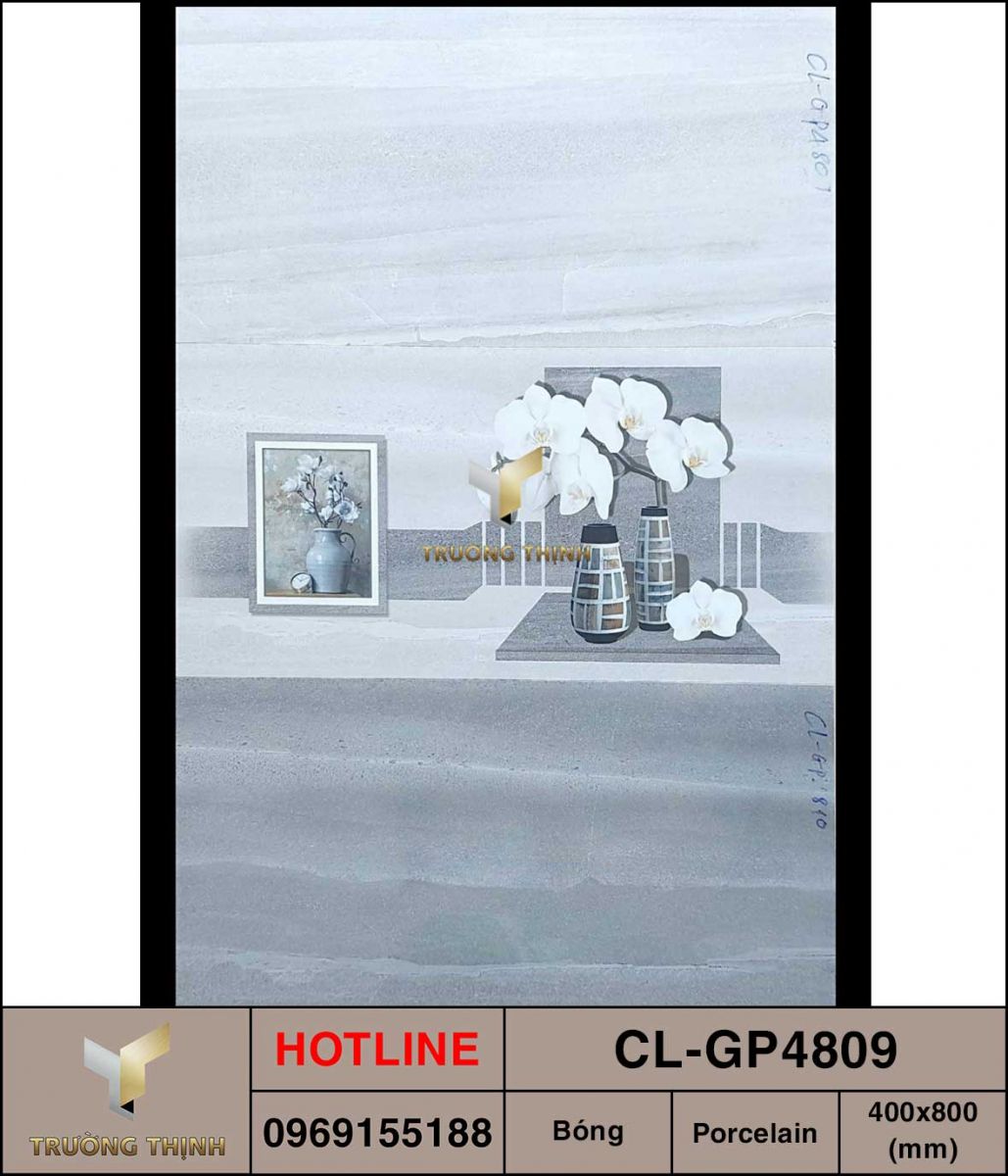 CL-GP4809