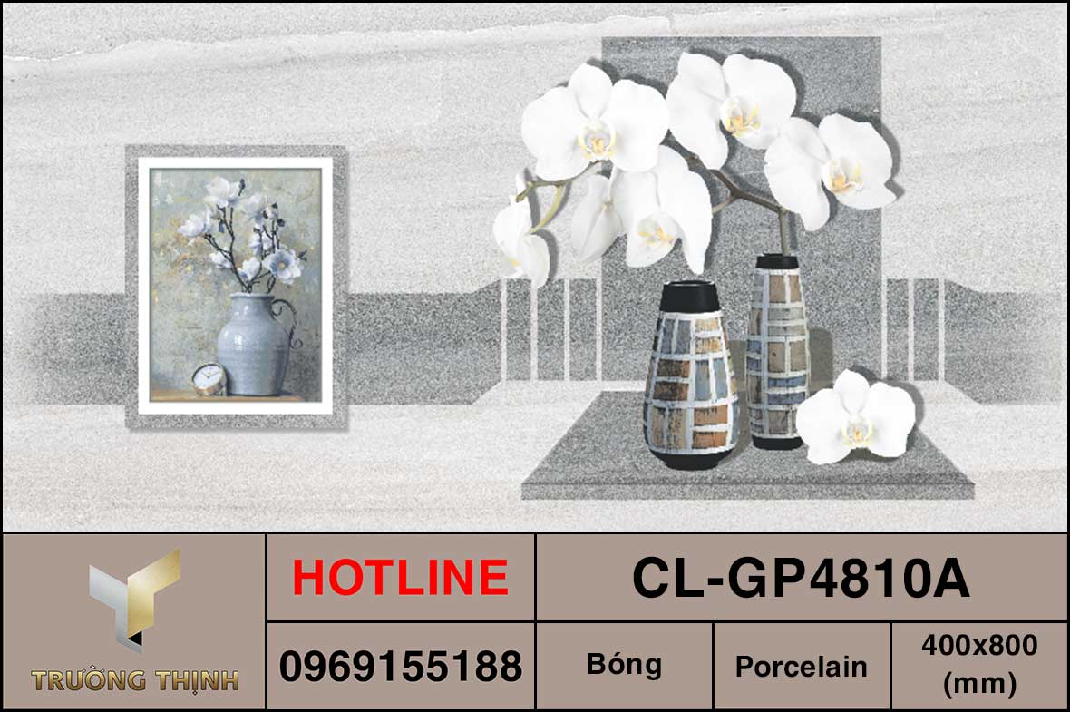 Gạch điểm 400x800 Viglacera Cửu Long CL-GP4810A giá rẻ