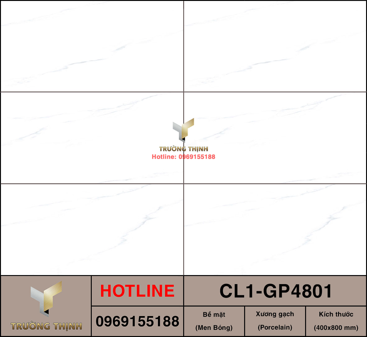 Gạch 400x800 Viglacera Cửu Long CL1-GP4801