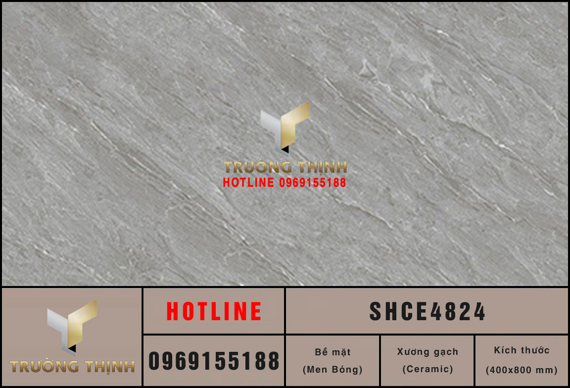 Ảnh mẫu gạch ốp tường 400x800 Viglacera Sông Hồng SHCE4824