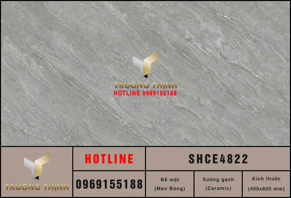 Ảnh mẫu gạch ốp tường 400x800 Viglacera Sông Hồng SHCE4822