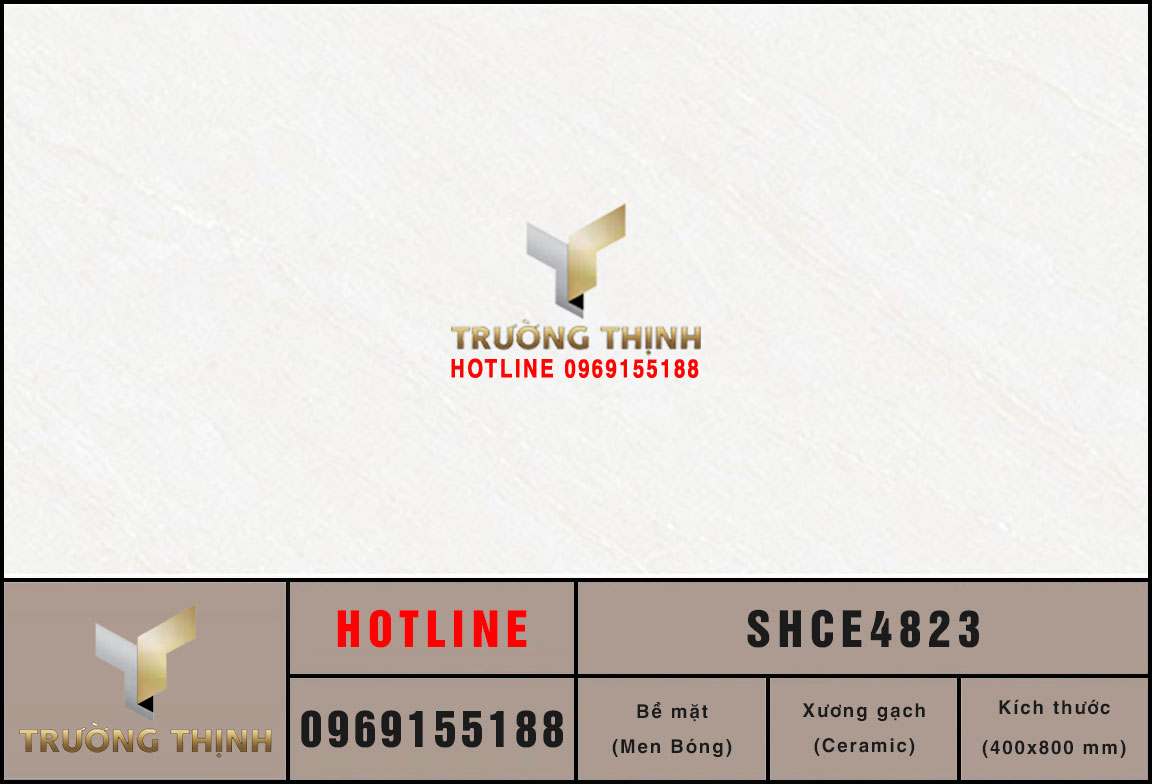 Ảnh mẫu gạch ốp tường 400x800 Viglacera Sông Hồng SHCE4823