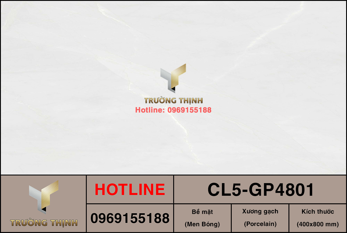 Gạch Porcelain vân đá 400x800 Viglacera Cửu Long CL5-GP4801 giá rẻ