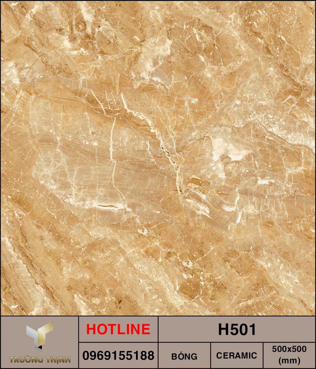 Ảnh MAP gạch lát nền 500x500 Viglacera H501