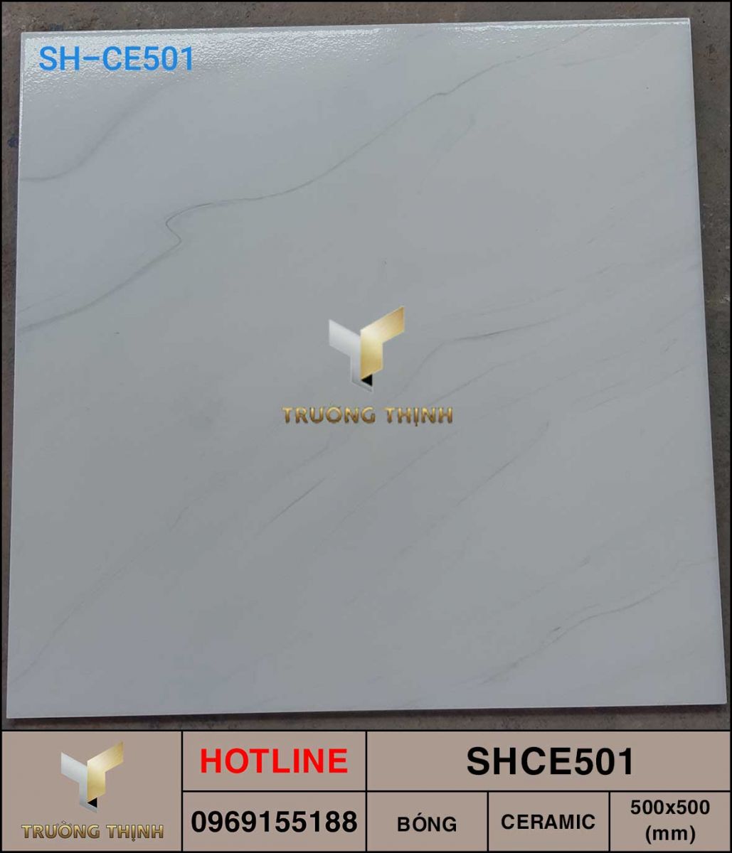 Gạch men ceramic 500x500 Viglacera SHCE501 giá rẻ