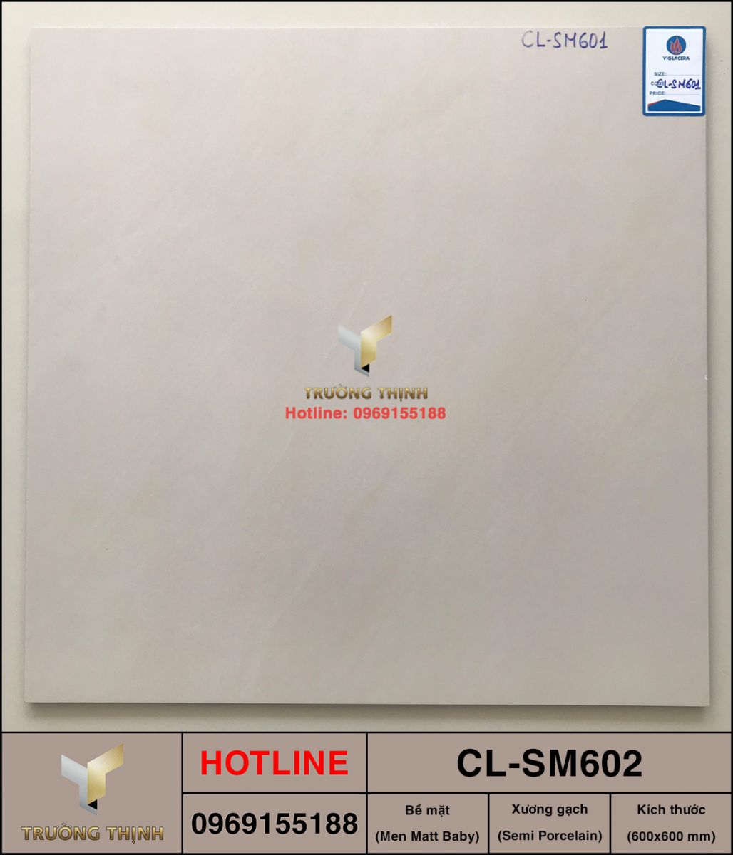 Gạch lát nền 600x600 Viglacera Cửu Long CL-SM601 ảnh thực tế