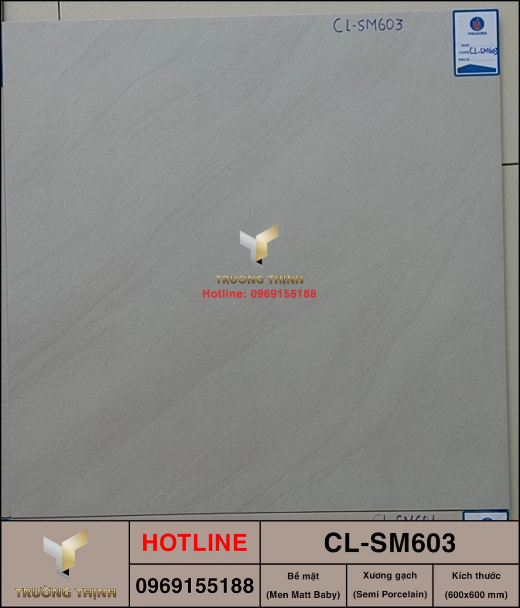 Gạch lát nền 600x600 Viglacera Cửu Long CL-SM603 ảnh thực tế