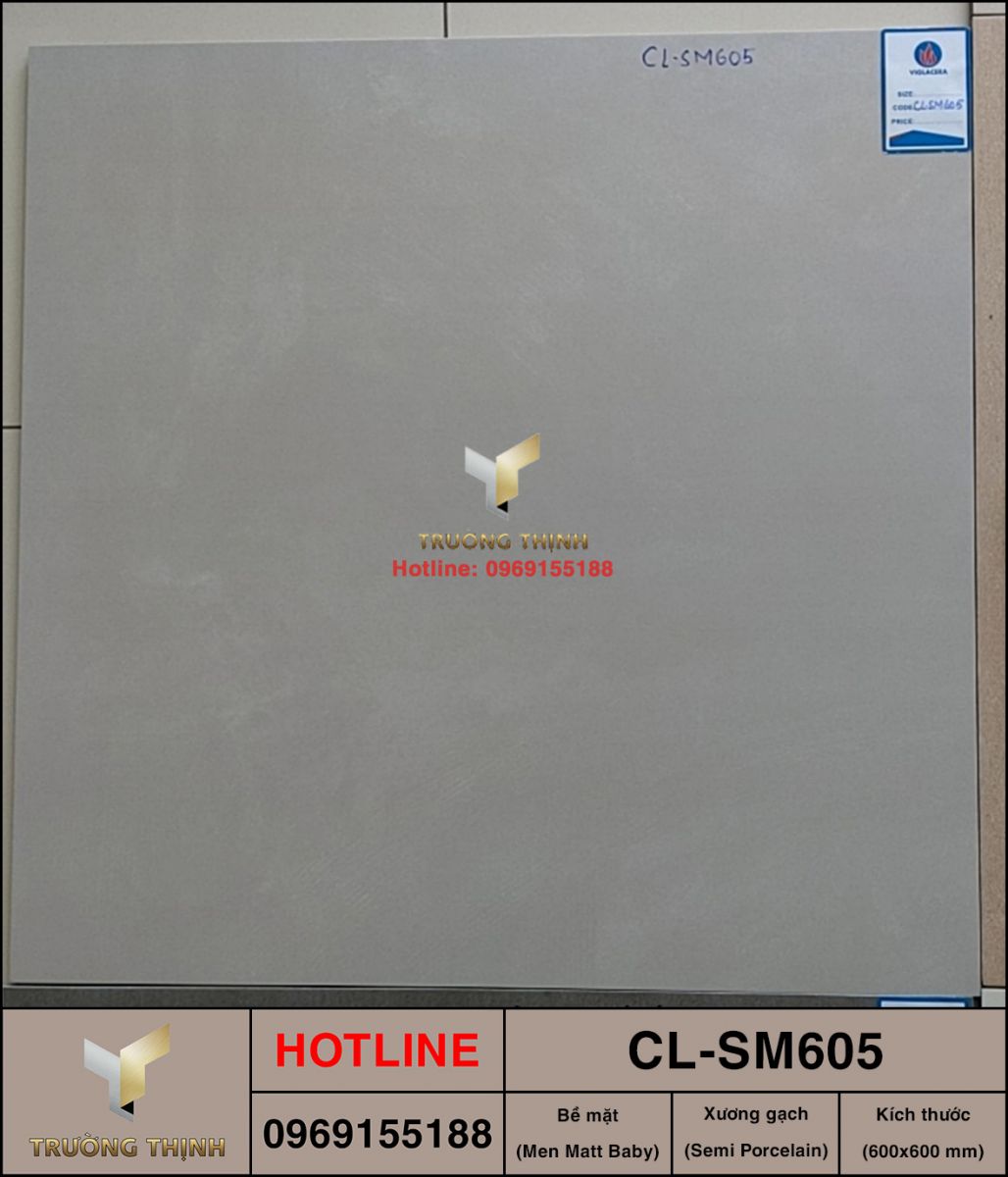 Gạch lát nền 600x600 Viglacera Cửu Long CL-SM605 ảnh thực tế