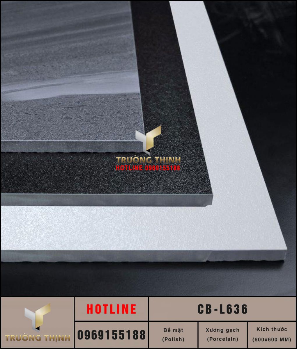 Gạch 600x600 Viglacera Platinum CB-L636