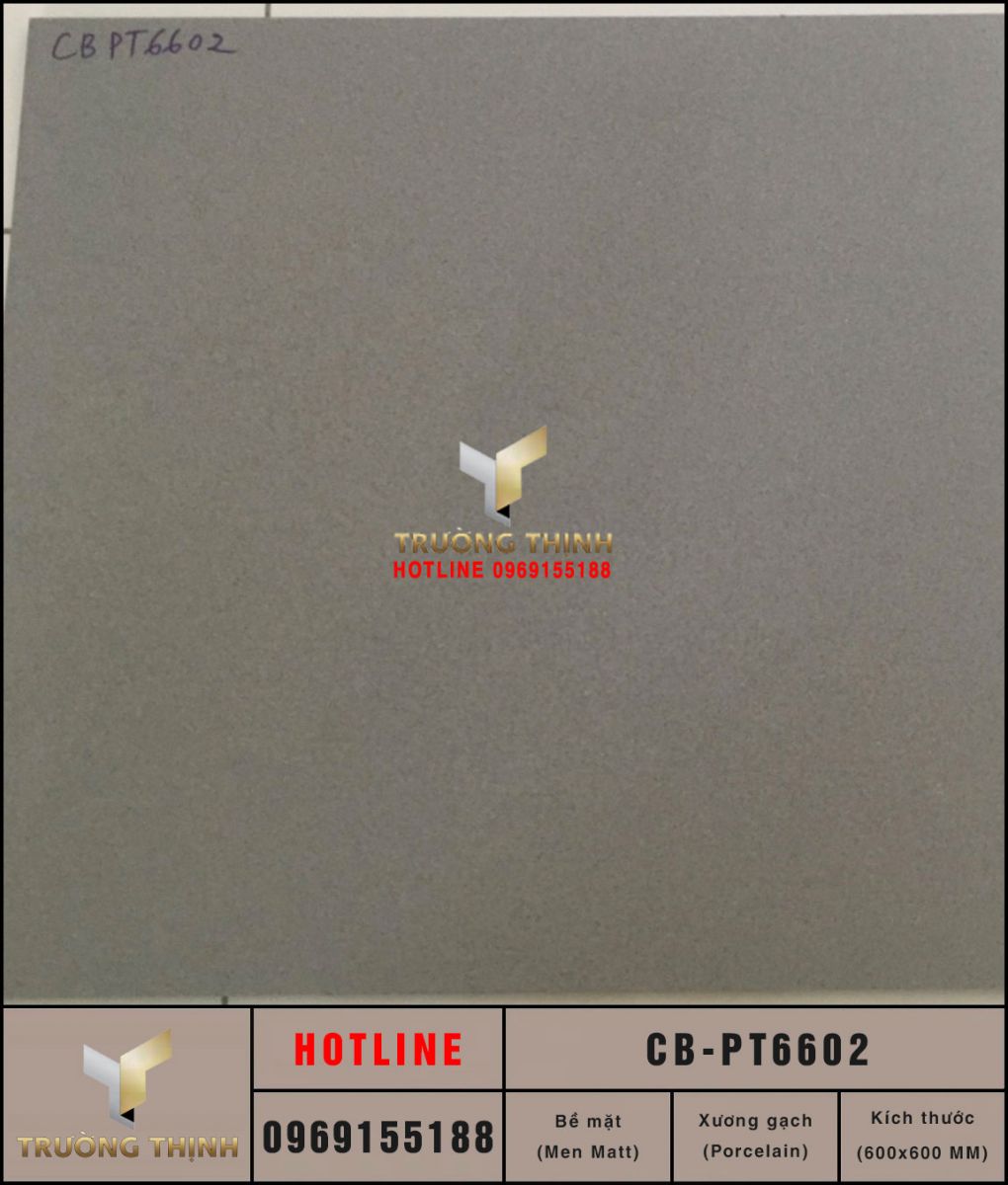 Gạch Porcelain đồng chất 600x600 Viglacera Platinum CB-PT6602 đơn màu