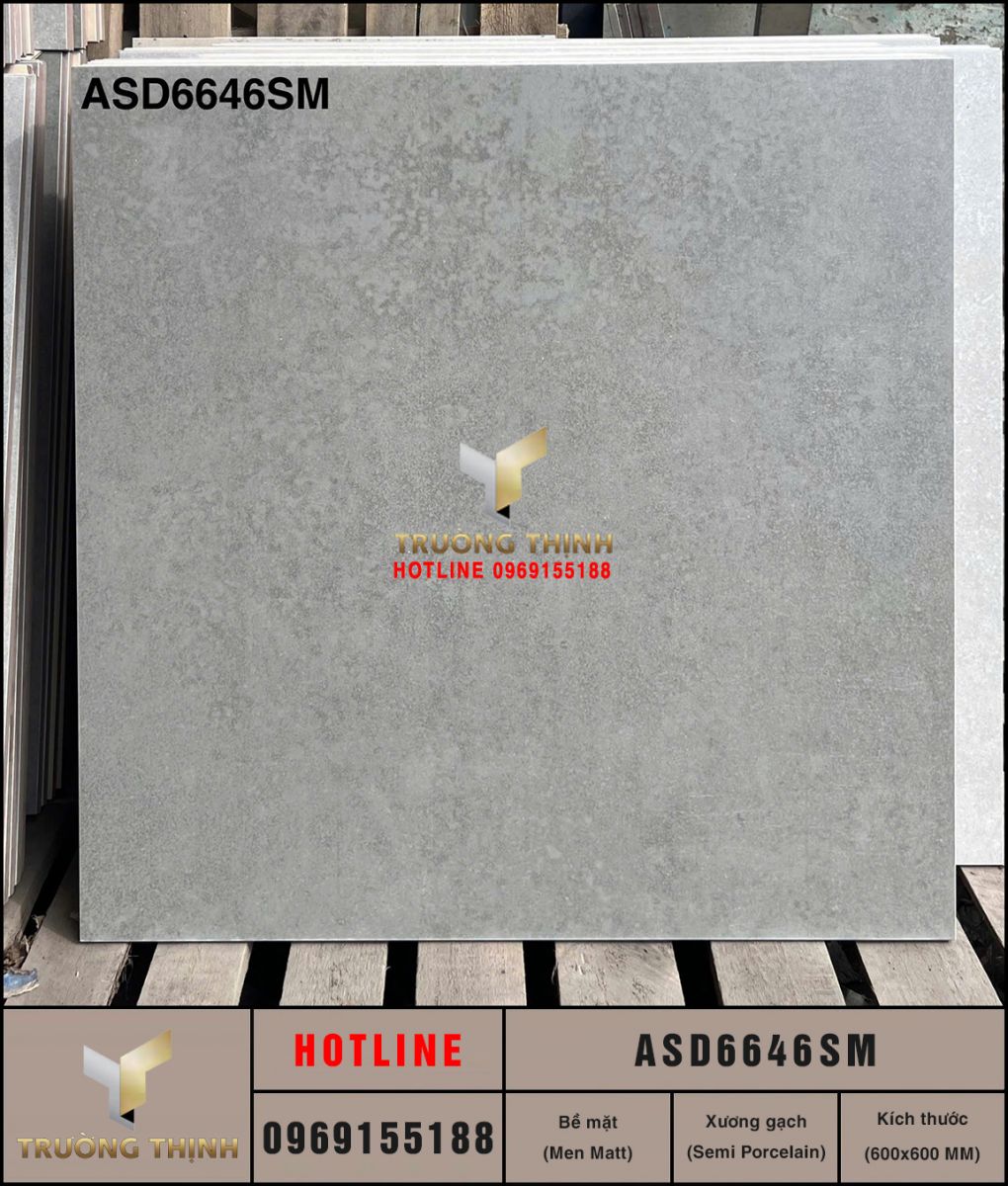 Gạch Semi Porcelain vân xi măng 600x600 Viglacera ASD6646SM giá rẻ