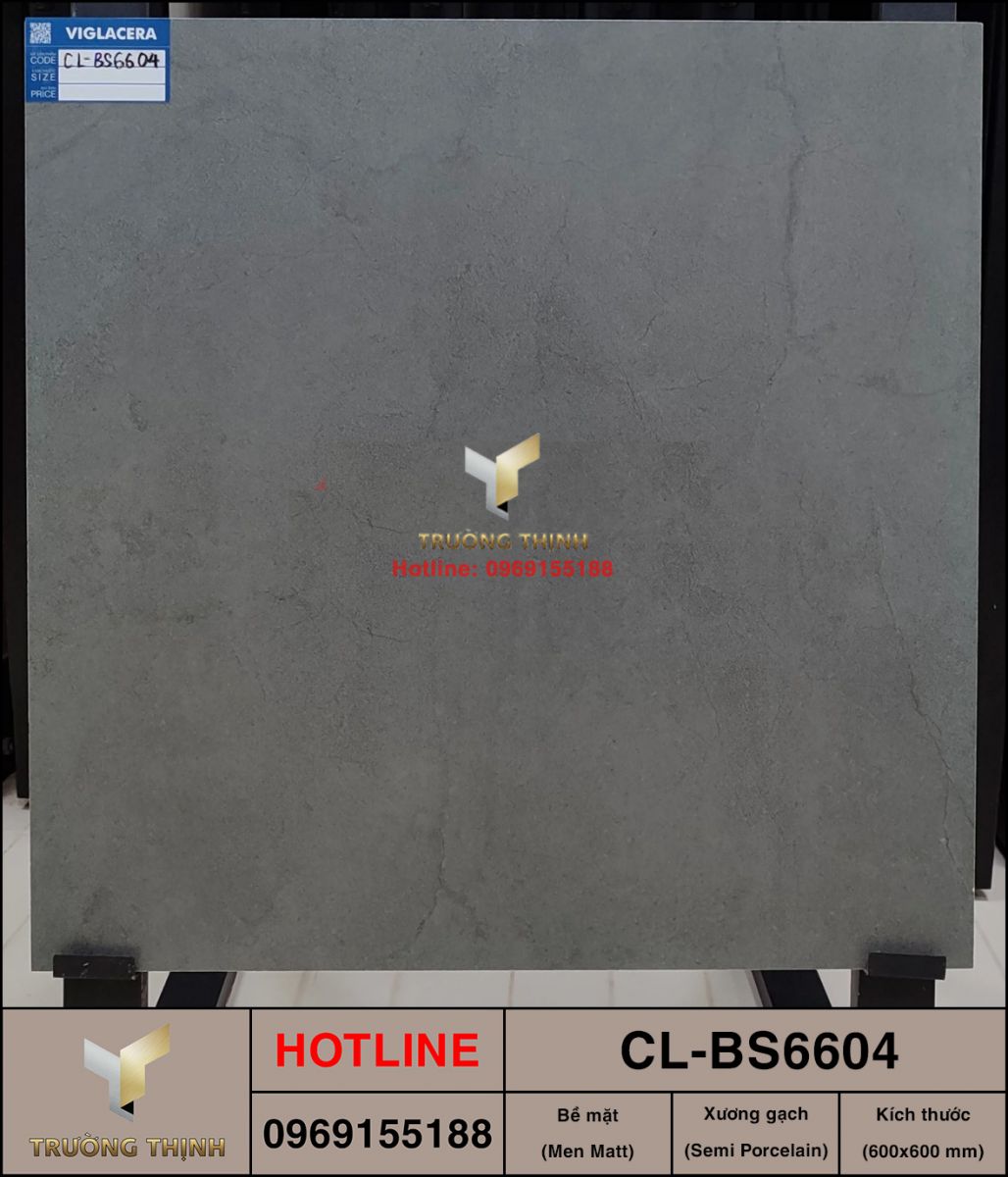Gạch chống trơn 600x600 Viglacera Cửu Long CL-BS6604 vân đá