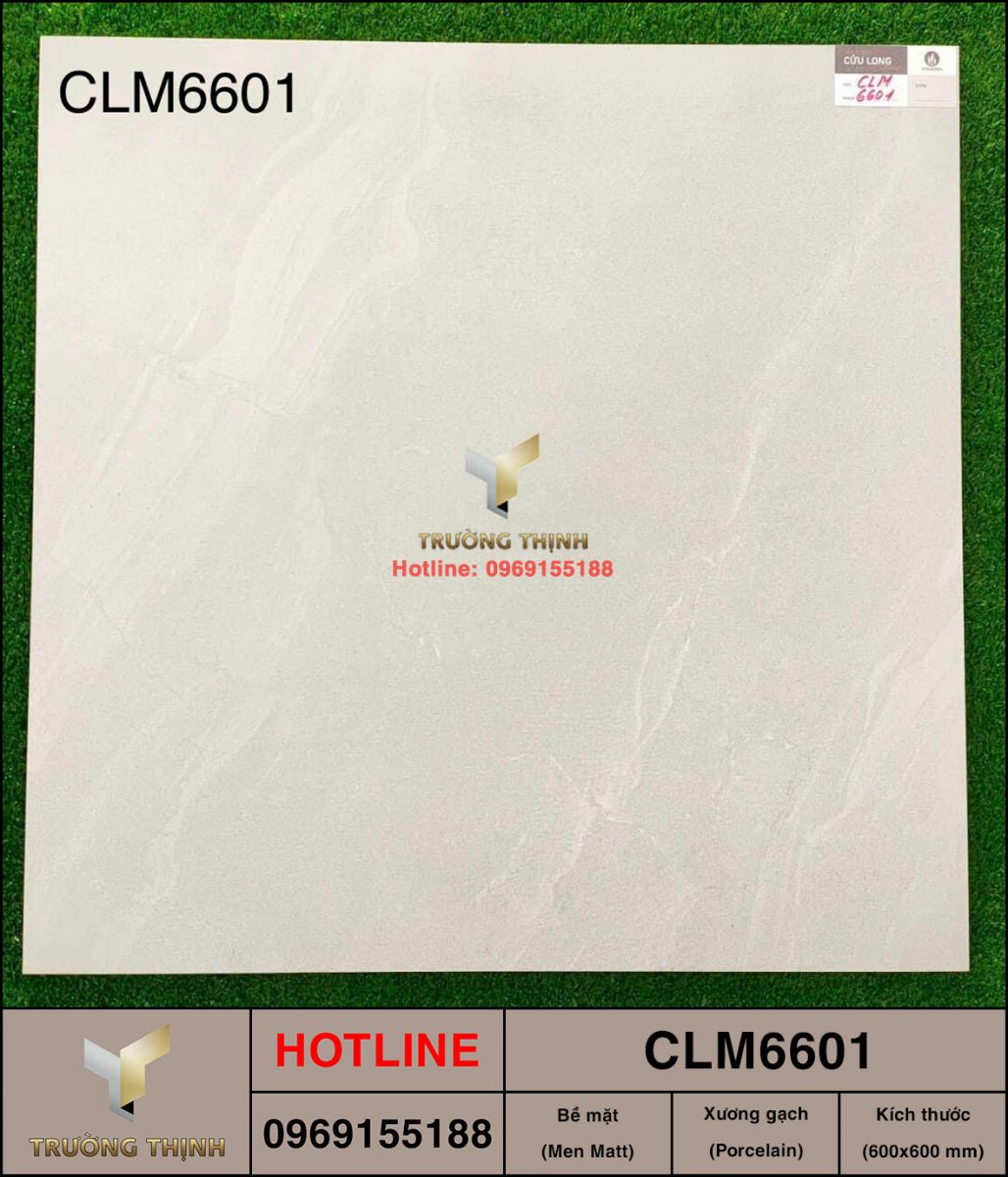 Gạch lát nền chống trơn Viglacera CLM6601 giá rẻ
