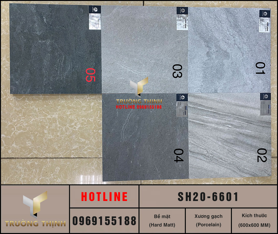 Gạch lát nền 600x600 Viglacera Sông Hồng SH20-6601