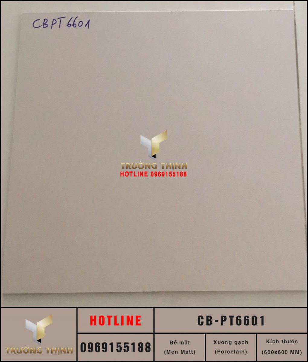 Gạch đồng chất 600x600 Viglacera Platinum CB-PT6601 cao cấp
