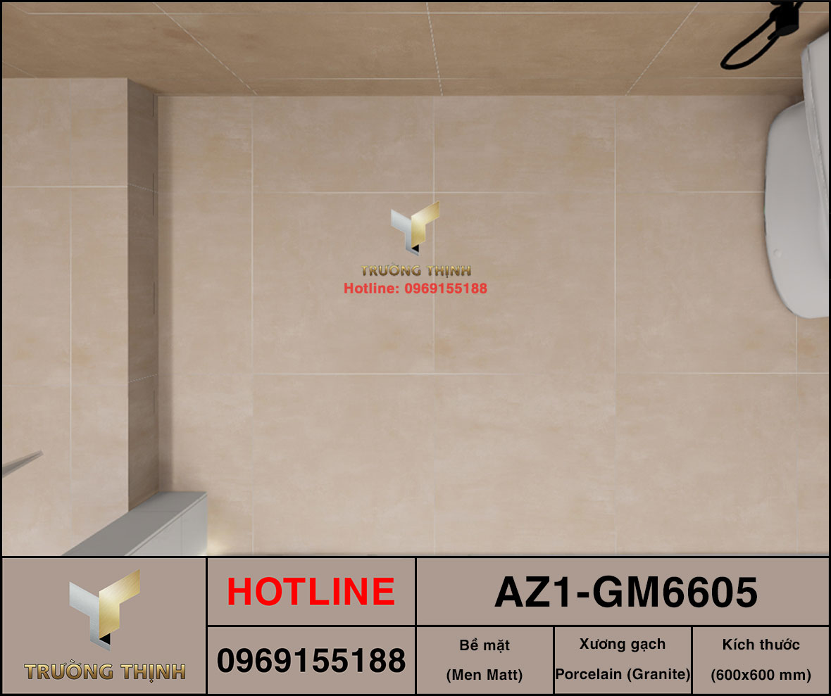 Gạch giả vân xi măng 600x600 Viglacera AZ1-GM6605