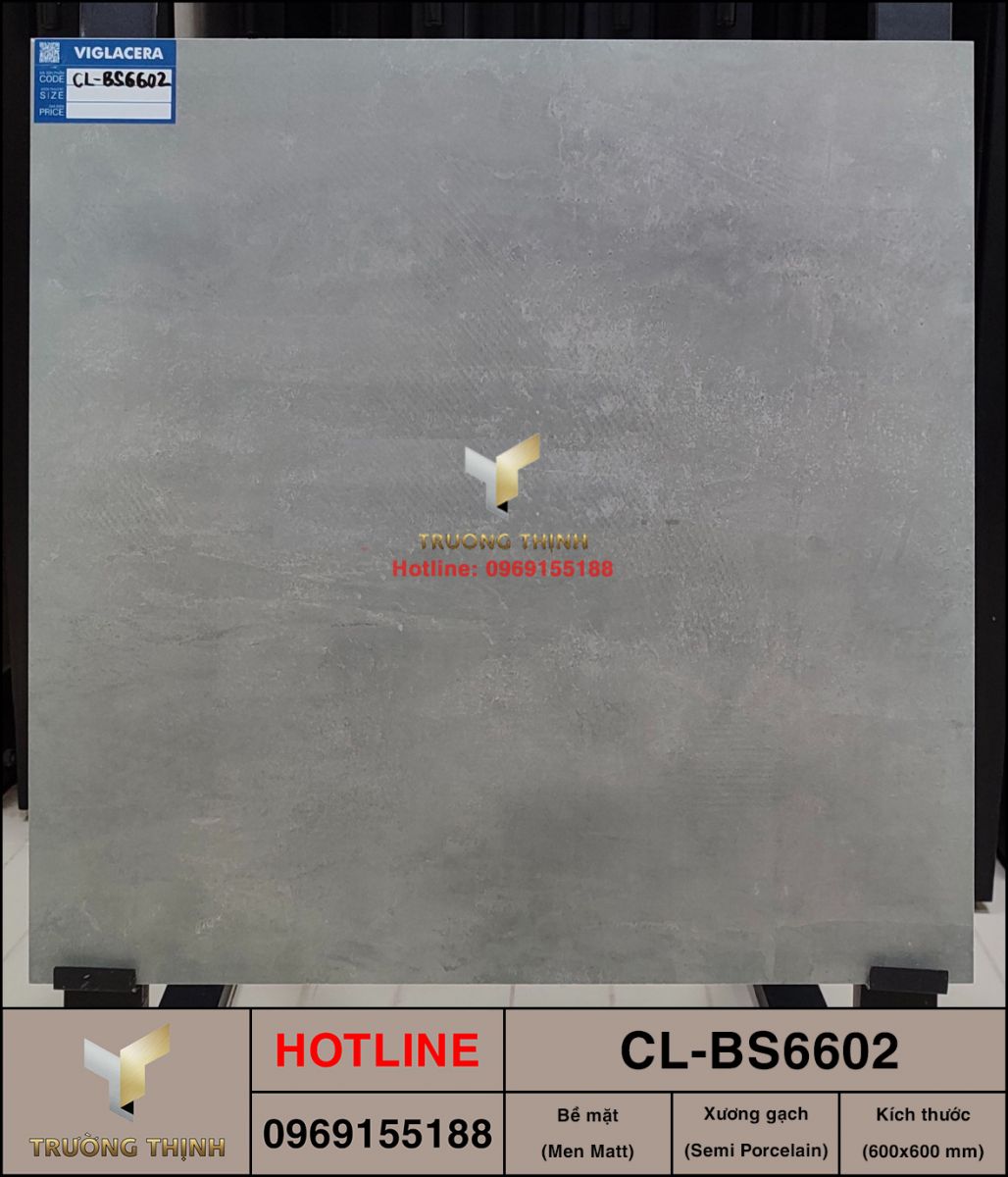 Gạch giả xi măng 600x600 Viglacera Cửu Long CL-BS6602 cao cấp