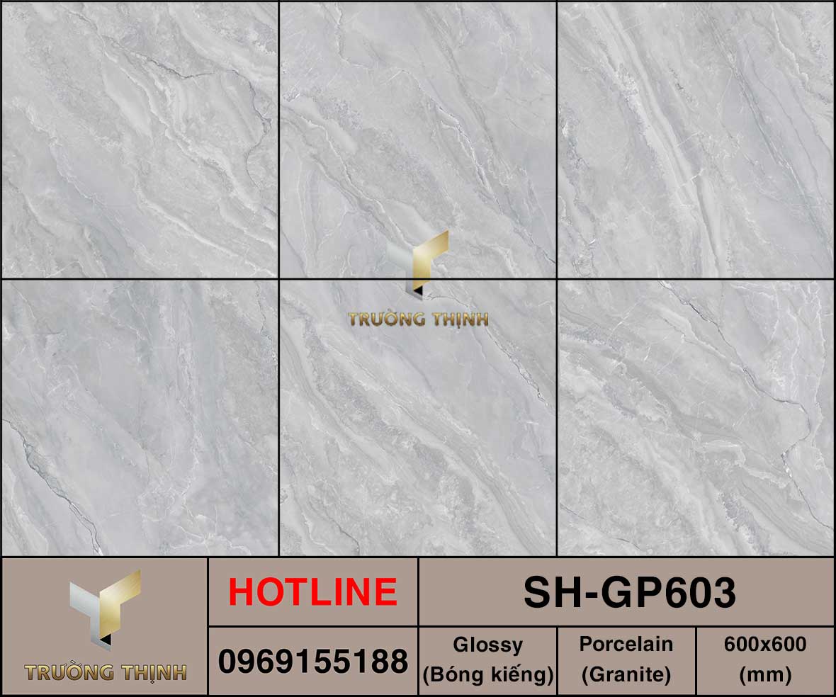 Ảnh MAP gạch lát nền 600x600 Viglacera SH-GP603