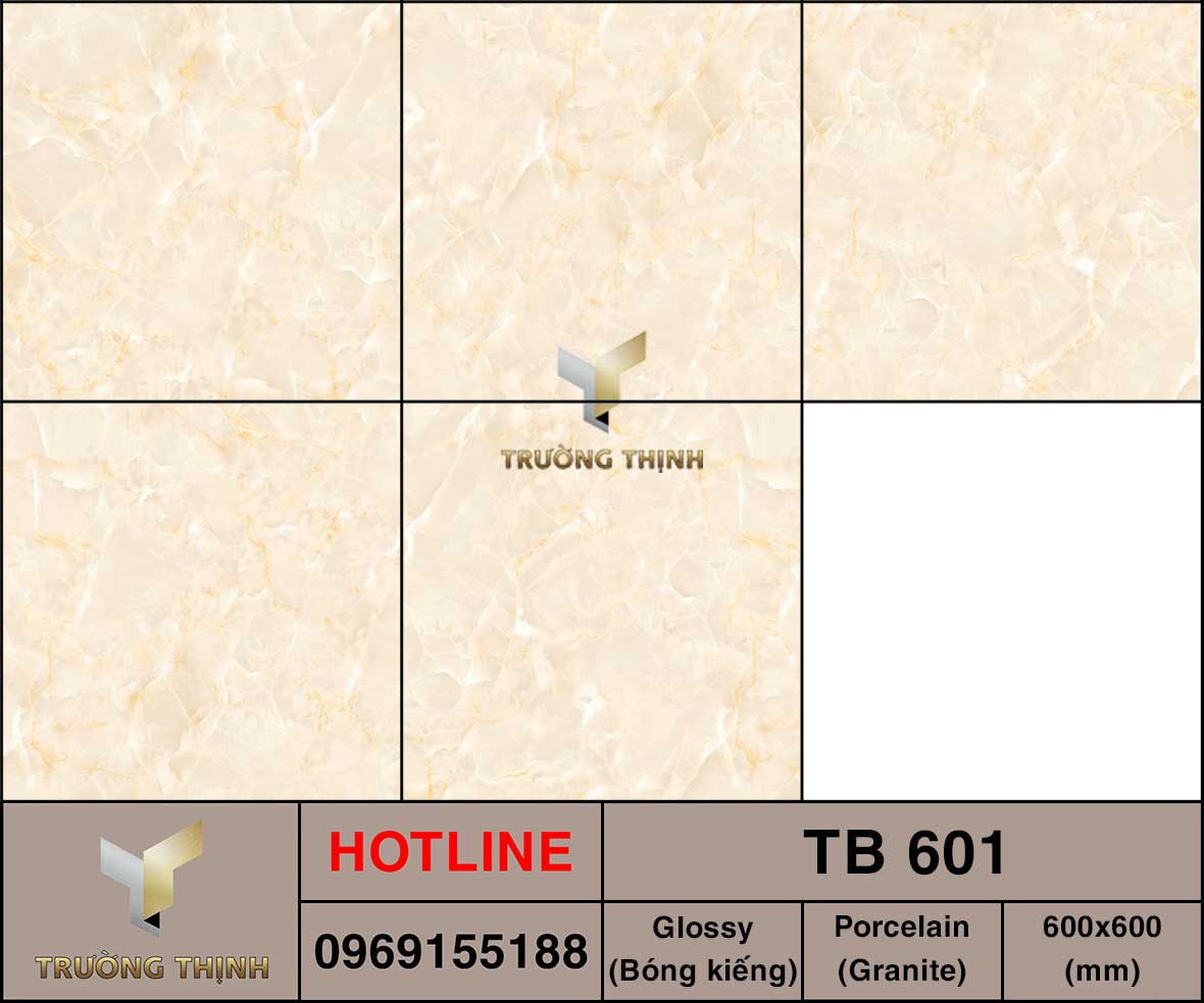 Ảnh MAP gạch lát nền 600x600 Viglacera TB-601