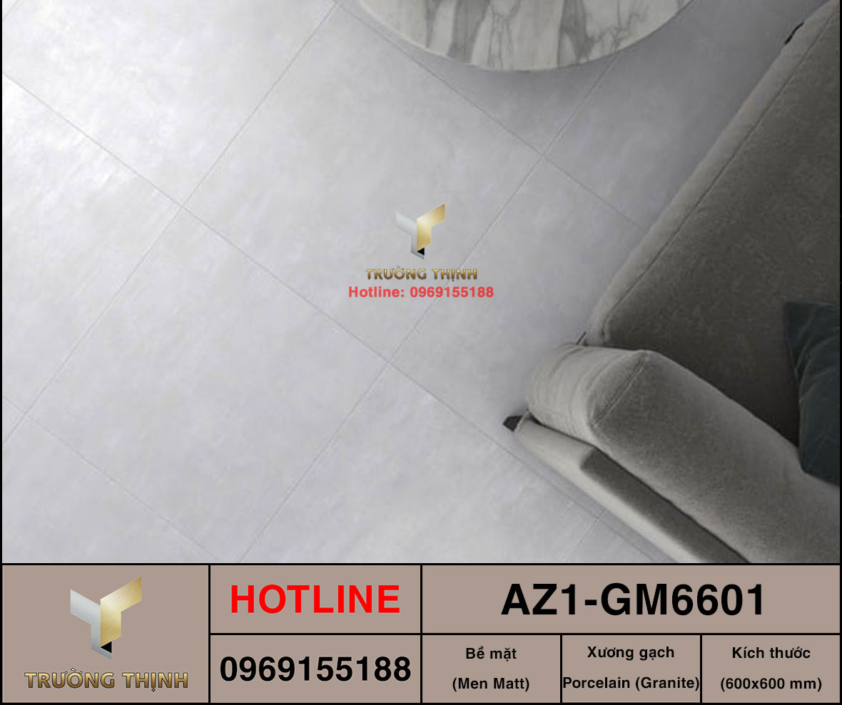 Gạch ốp lát 600x600 Viglacera United Arizona AZ1-GM6601