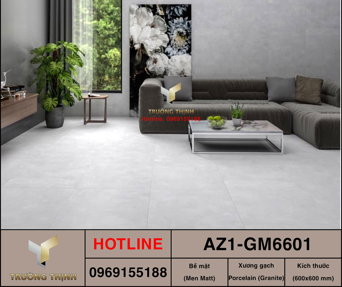 Gạch ốp lát 600x600 Viglacera United Arizona AZ1-GM6601