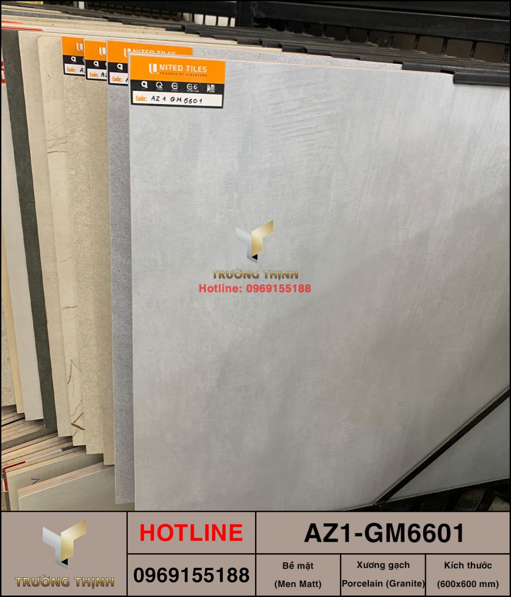 Gạch ốp lát 600x600 Viglacera United Arizona AZ1-GM6601