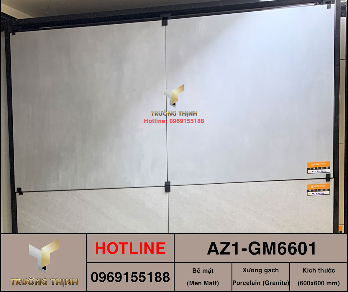 Gạch ốp lát 600x600 Viglacera United Arizona AZ1-GM6601