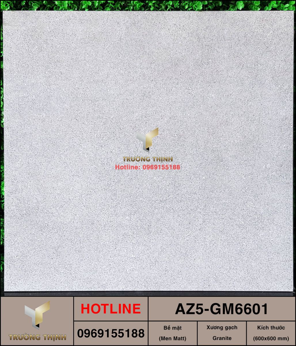 Gạch granite chống trơn 600x600 Viglacera AZ5-GM6601 cao cấp