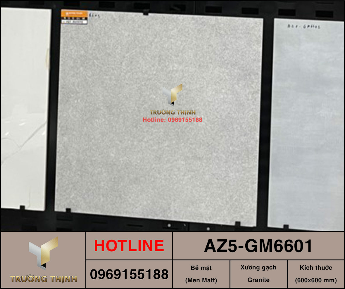 AZ5-GM6601
