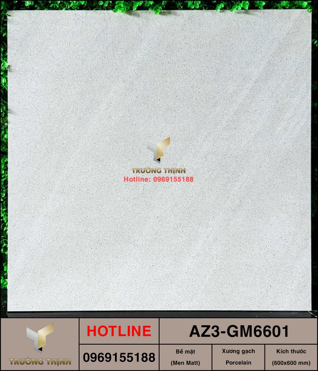 Gạch granite vân đá 600x600 Viglacera AZ3-GM6601