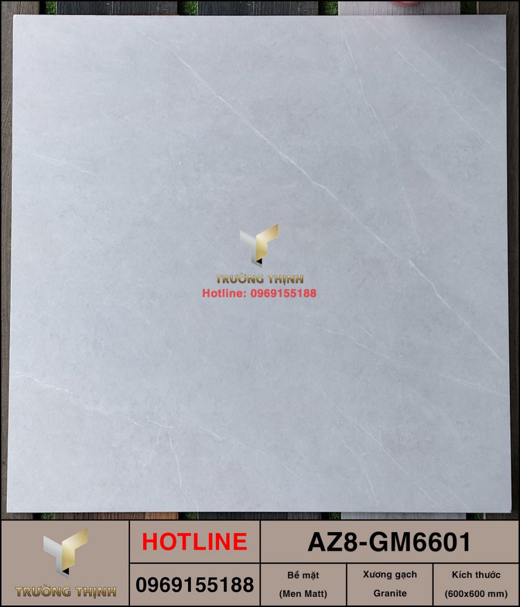 Gạch granite vân đá 600x600 Viglacera AZ8-GM6601